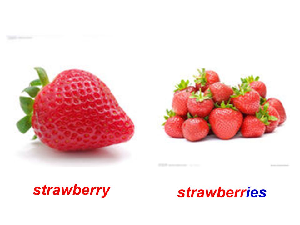 strawberry strawberries