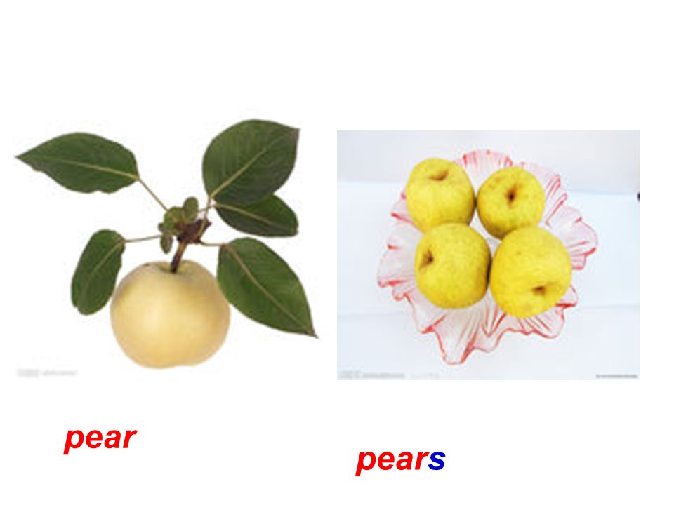 pear pears