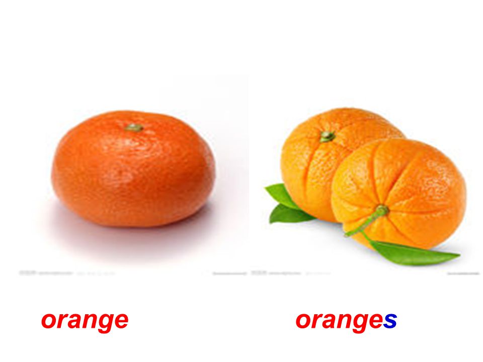 orangeoranges