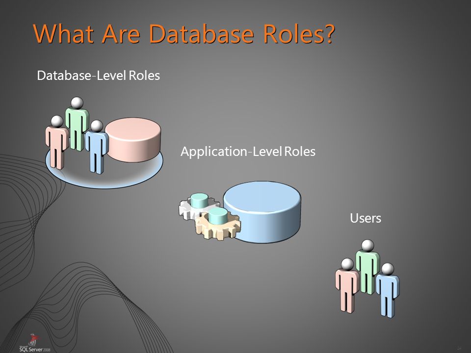 24 What Are Database Roles Database-Level Roles Application-Level Roles Users
