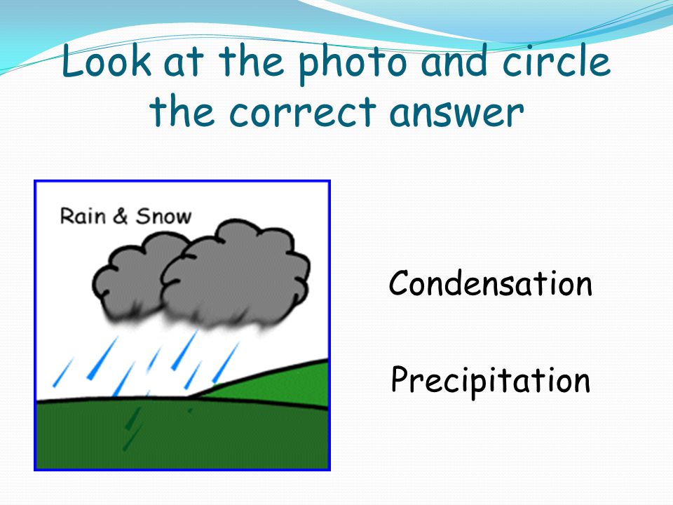 Look at the photo and circle the correct answer Condensation Precipitation