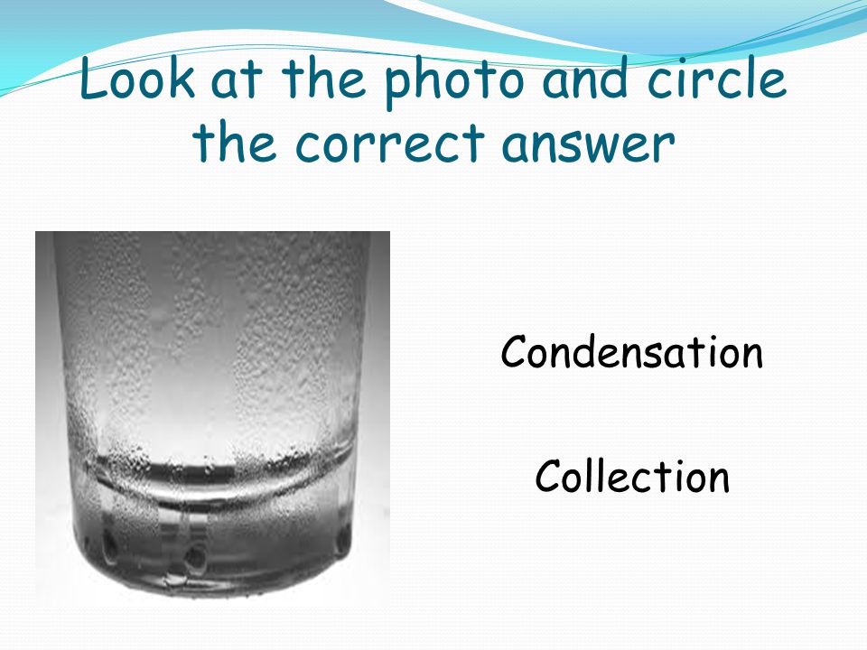 Look at the photo and circle the correct answer Condensation Collection