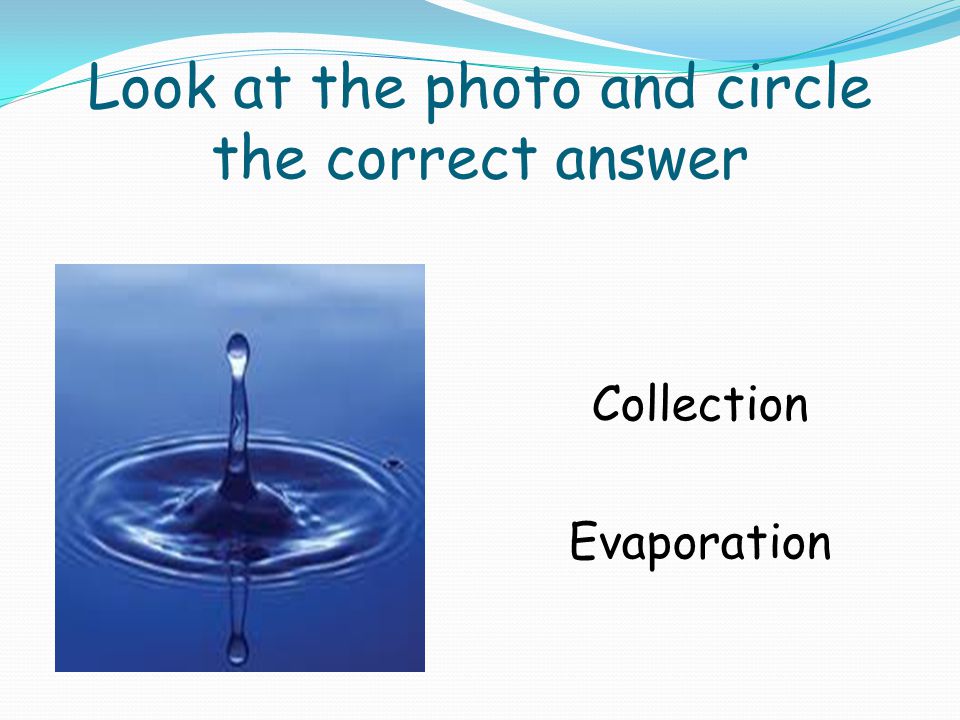 Look at the photo and circle the correct answer Collection Evaporation