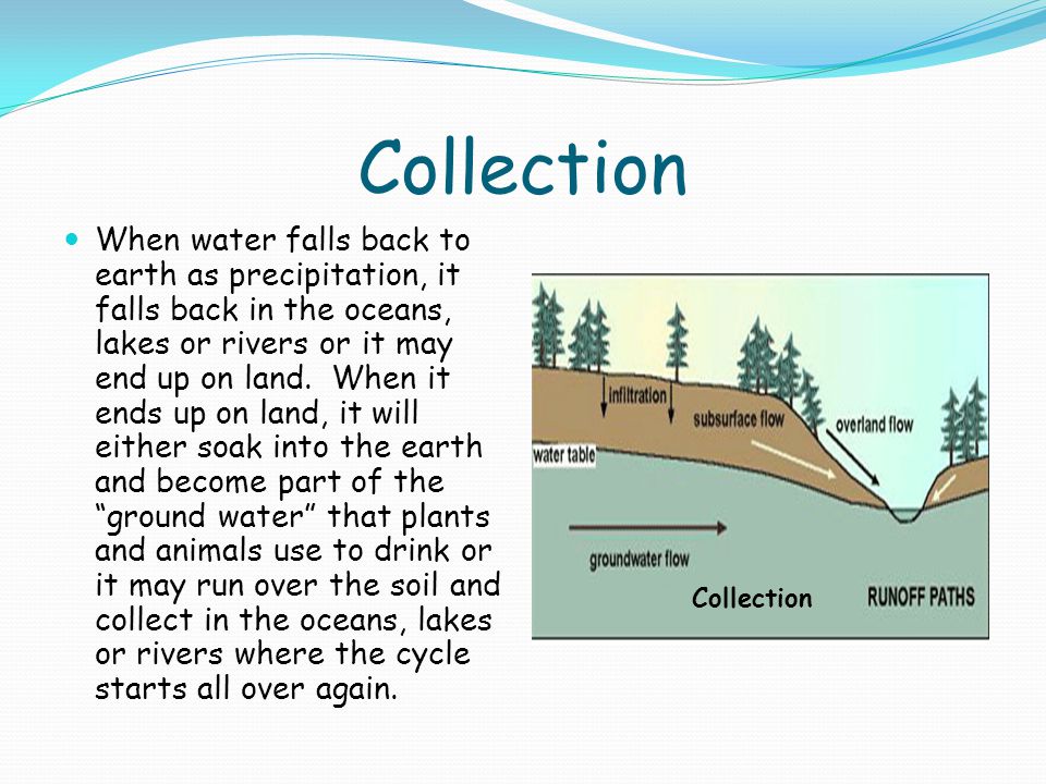 Collection When water falls back to earth as precipitation, it falls back in the oceans, lakes or rivers or it may end up on land.