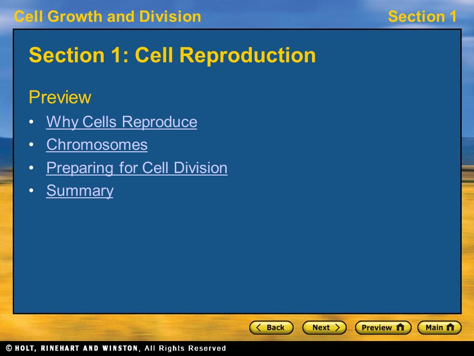 Worksheets Section 10-2 Cell Division Worksheet Answers section 10 2 cell division worksheet answers and mitosis cell