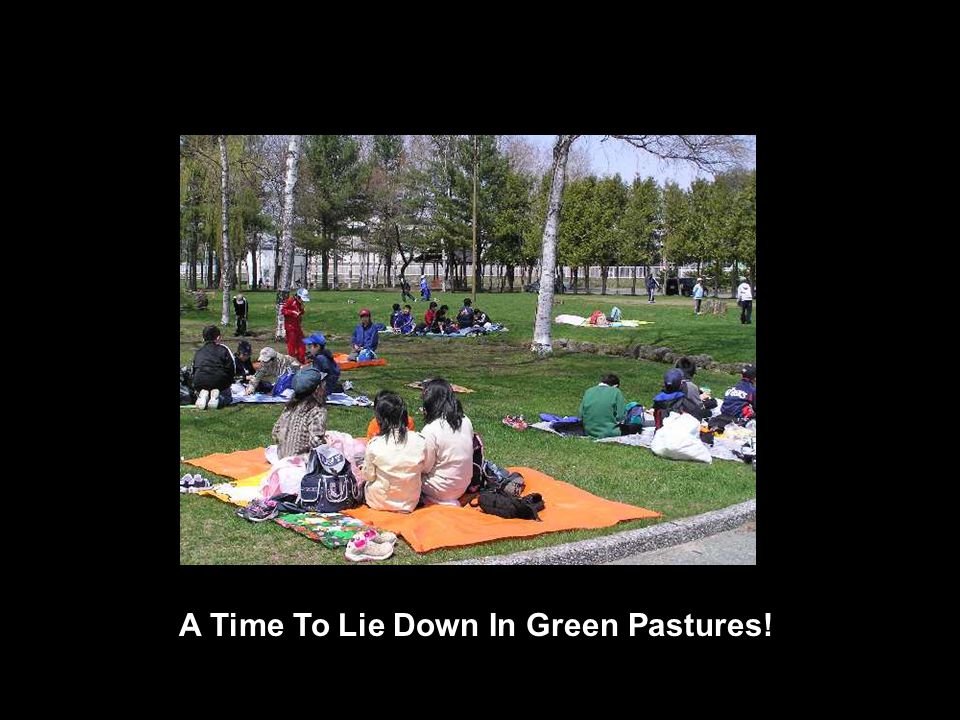 A Time To Lie Down In Green Pastures!
