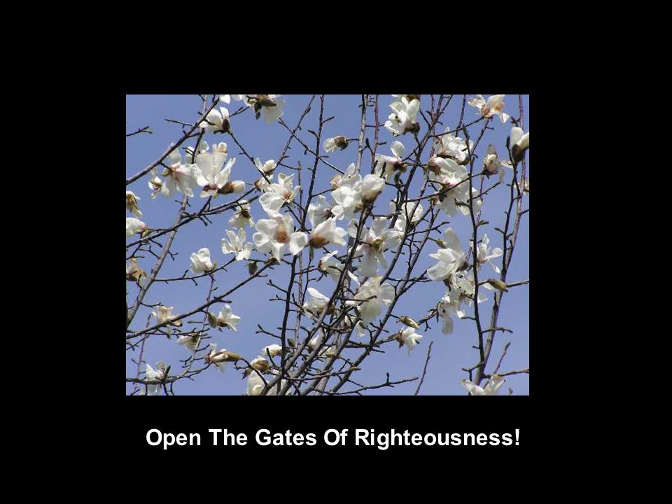 Open The Gates Of Righteousness!