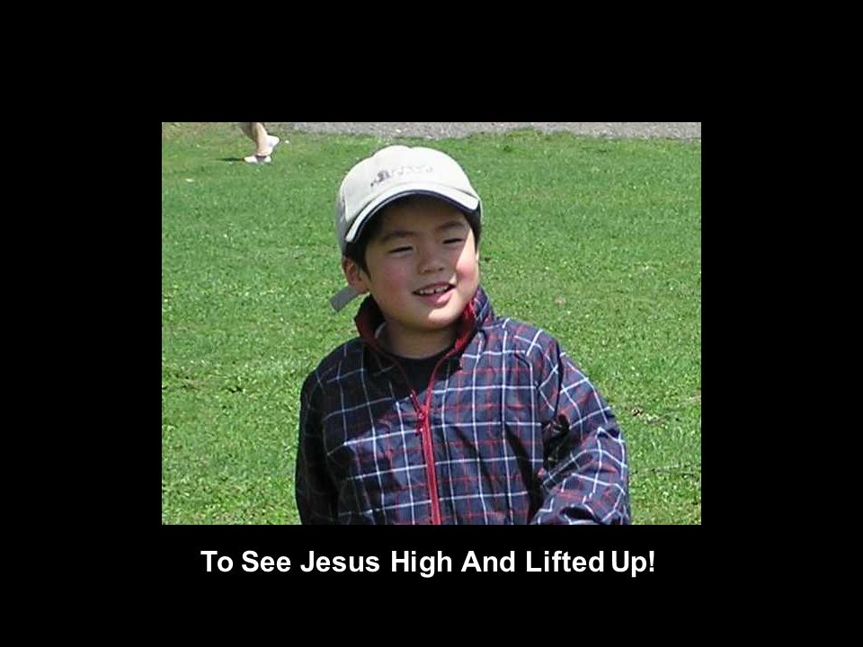 To See Jesus High And Lifted Up!