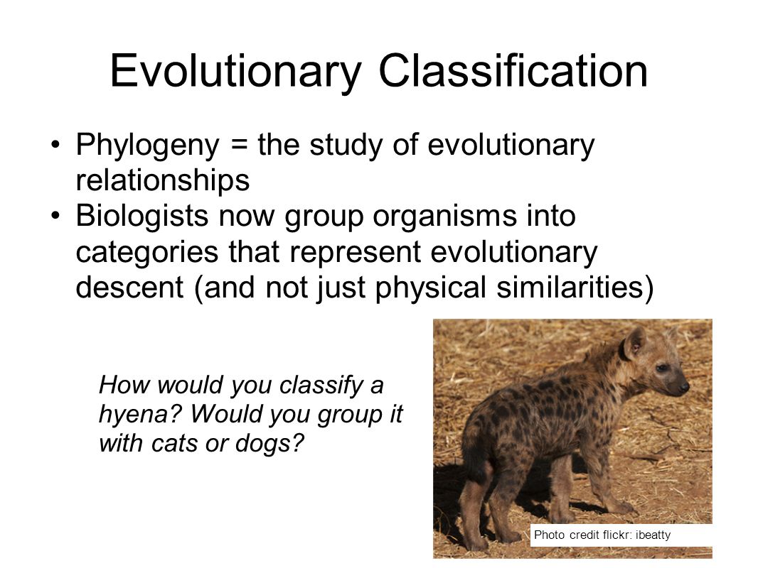 a focus on the study of evolutionary biology The department of biology already has a strong focus on the study of all of biology’s positions in biology of behavior are evolutionary biology. a focus on the study of evolutionary biology The department of biology already has a strong focus on the study of all of biology’s positions in biology of behavior are evolutionary biology.