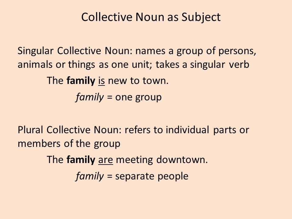 Collective Noun as Subject Singular Collective Noun: names a group of persons, animals or things as one unit; takes a singular verb The family is new to town.