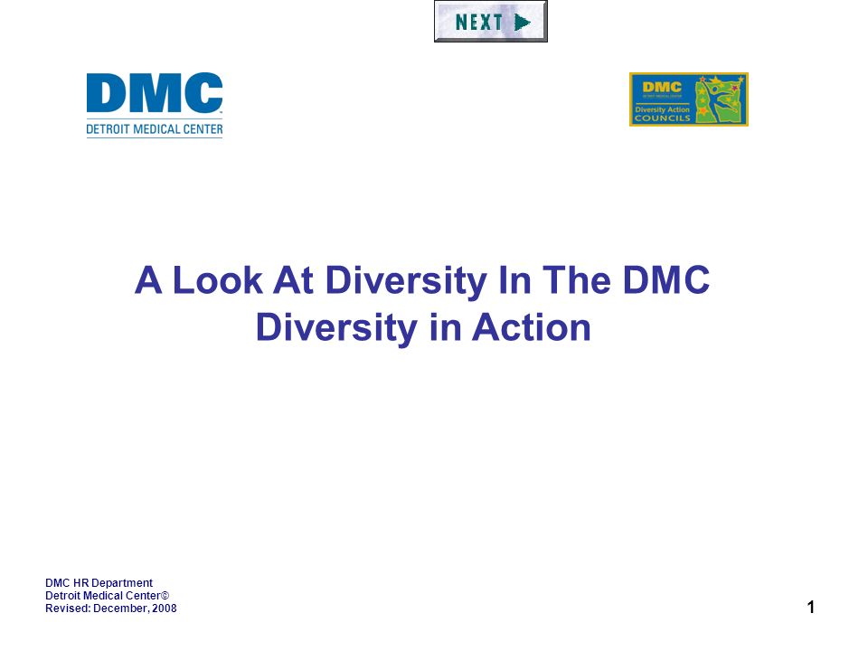 1 DMC HR Department Detroit Medical Center© Revised: December, 2008 A Look At Diversity In The DMC Diversity in Action