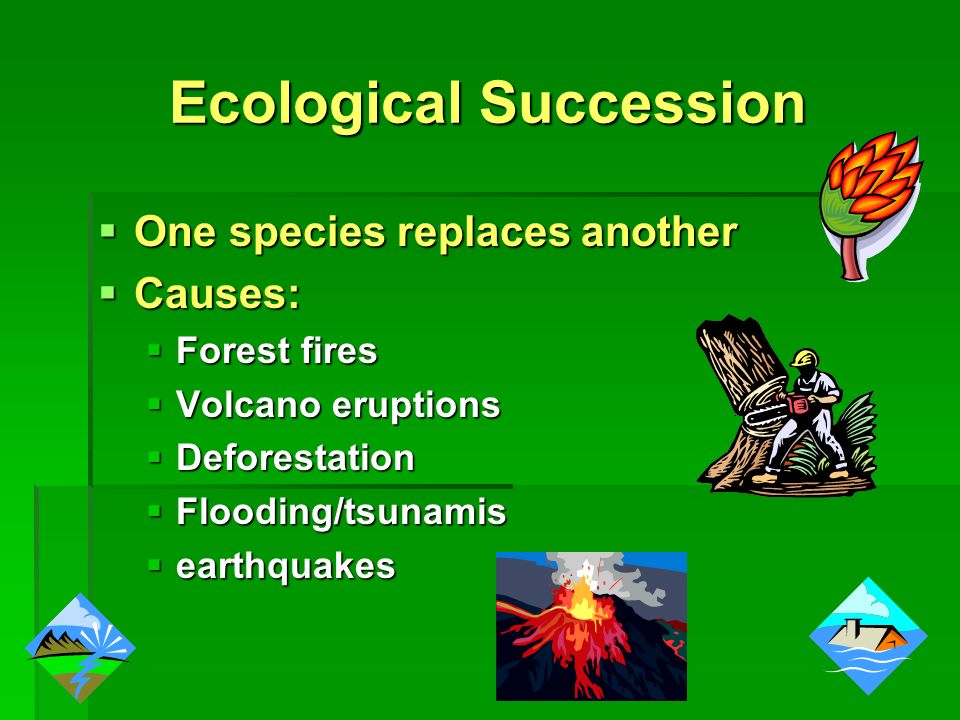 Ecological Succession  One species replaces another  Causes:  Forest fires  Volcano eruptions  Deforestation  Flooding/tsunamis  earthquakes
