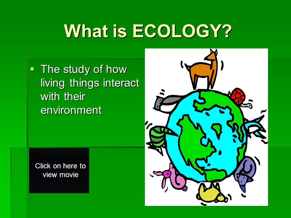 What is ECOLOGY.