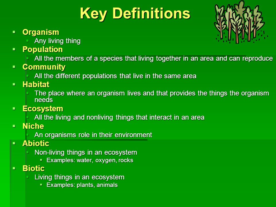 Key Definitions Key Definitions  Organism  Any living thing  Population  All the members of a species that living together in an area and can reproduce  Community  All the different populations that live in the same area  Habitat  The place where an organism lives and that provides the things the organism needs  Ecosystem  All the living and nonliving things that interact in an area  Niche  An organisms role in their environment  Abiotic  Non-living things in an ecosystem  Examples: water, oxygen, rocks  Biotic  Living things in an ecosystem  Examples: plants, animals