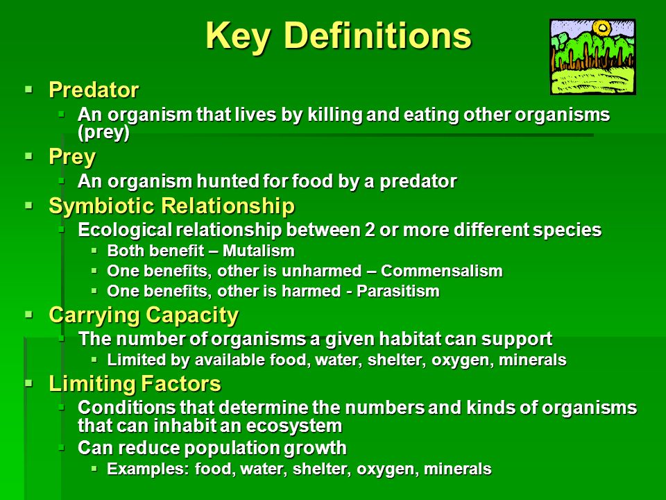 Key Definitions  Predator  An organism that lives by killing and eating other organisms (prey)  Prey  An organism hunted for food by a predator  Symbiotic Relationship  Ecological relationship between 2 or more different species  Both benefit – Mutalism  One benefits, other is unharmed – Commensalism  One benefits, other is harmed - Parasitism  Carrying Capacity  The number of organisms a given habitat can support  Limited by available food, water, shelter, oxygen, minerals  Limiting Factors  Conditions that determine the numbers and kinds of organisms that can inhabit an ecosystem  Can reduce population growth  Examples: food, water, shelter, oxygen, minerals