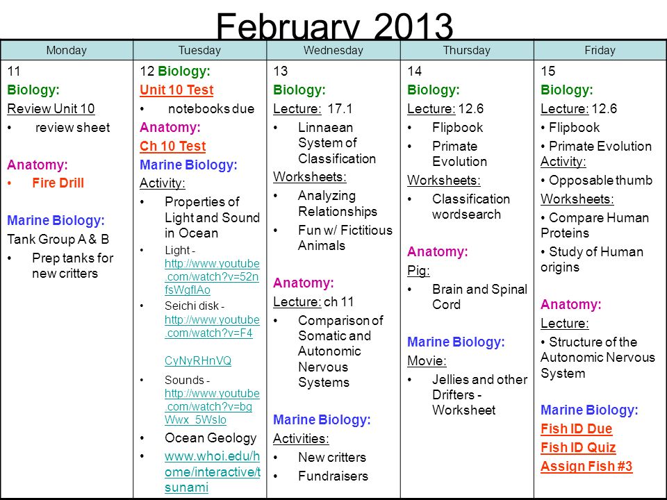 Worksheets Marine Biology Worksheets august 2012 mondaytuesdaywednesdaythursdayfriday 2021 first day of february 2013 18 no school 19 biology review lecture 12 6 worksheets hypotheses of