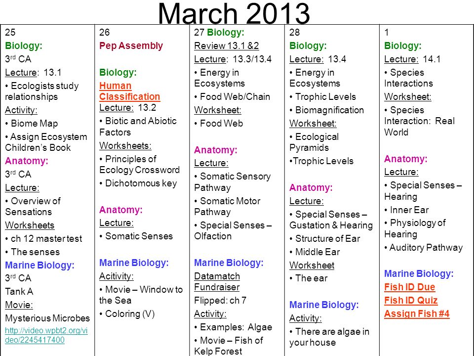 Worksheets Marine Biology Worksheets august 2012 mondaytuesdaywednesdaythursdayfriday 2021 first day of march 2013 4 biology lecture 14 1 habitat and niche worksheet ecology organisms