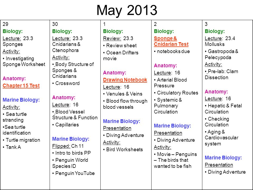 Printables Marine Biology Worksheets marine biology worksheets versaldobip davezan