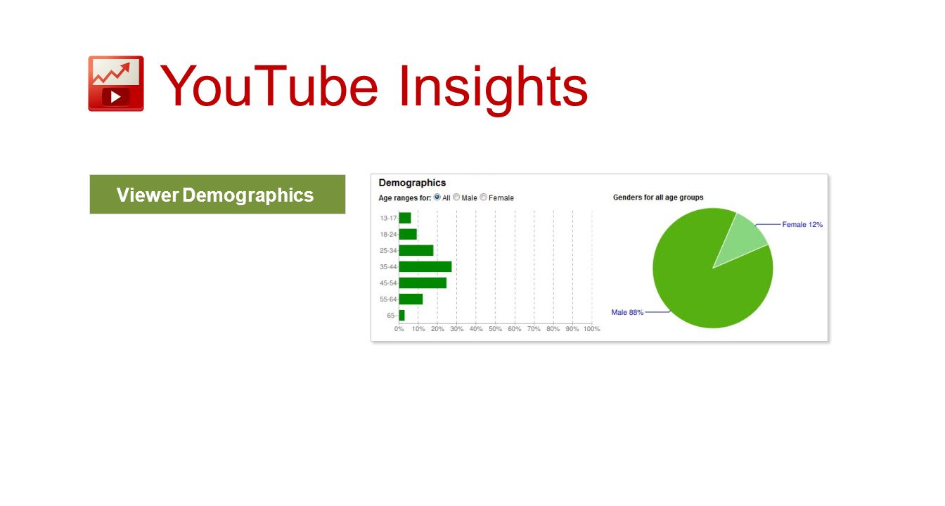 Viewer Demographics YouTube Insights