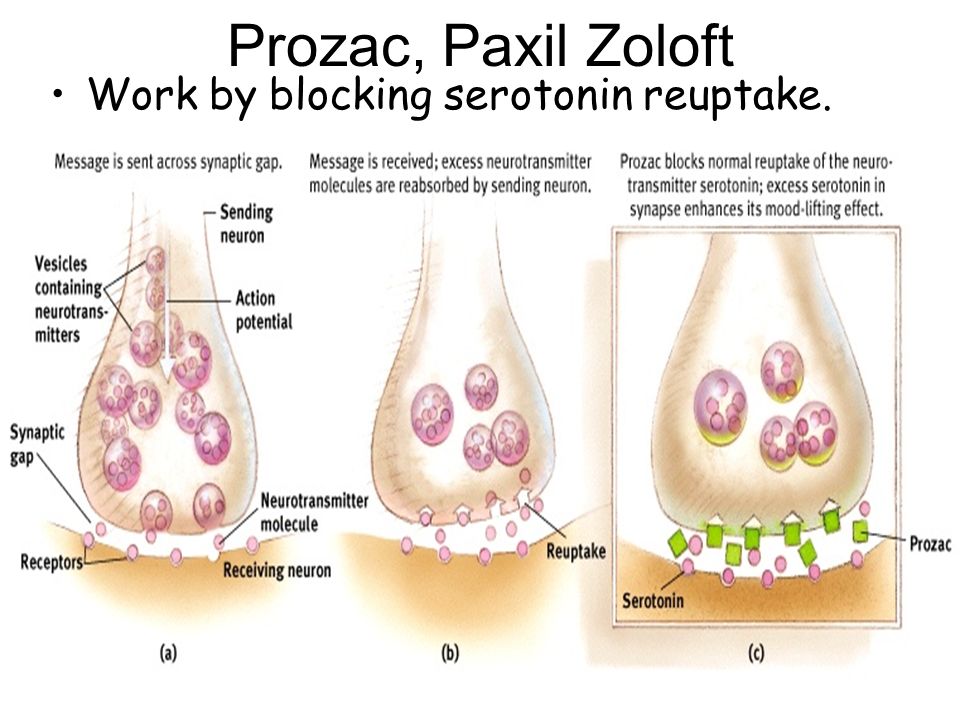 Prozac, Paxil Zoloft Work by blocking serotonin reuptake.