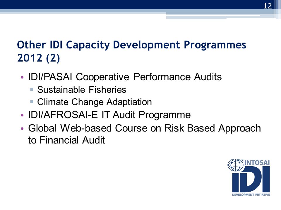 Other IDI Capacity Development Programmes 2012 (2) IDI/PASAI Cooperative Performance Audits  Sustainable Fisheries  Climate Change Adaptiation IDI/AFROSAI-E IT Audit Programme Global Web-based Course on Risk Based Approach to Financial Audit 12
