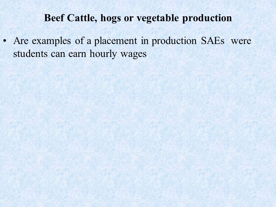 Beef Cattle, hogs or vegetable production Are examples of a placement in production SAEs were students can earn hourly wages