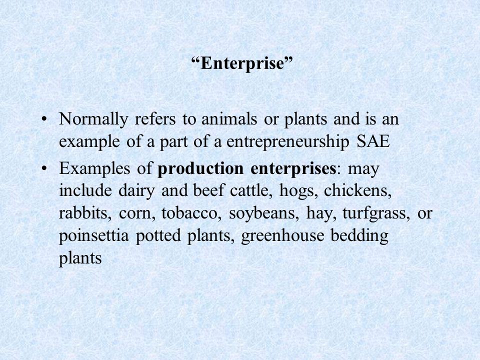 Enterprise Normally refers to animals or plants and is an example of a part of a entrepreneurship SAE Examples of production enterprises: may include dairy and beef cattle, hogs, chickens, rabbits, corn, tobacco, soybeans, hay, turfgrass, or poinsettia potted plants, greenhouse bedding plants