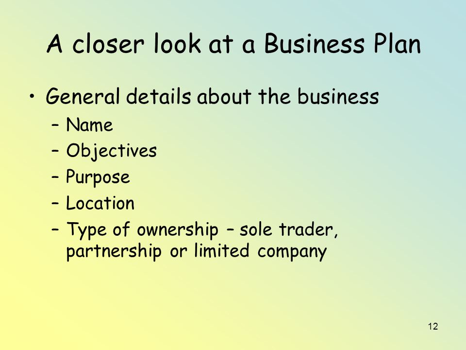 12 A closer look at a Business Plan General details about the business –Name –Objectives –Purpose –Location –Type of ownership – sole trader, partnership or limited company