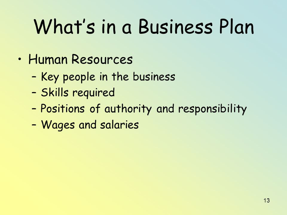 13 What’s in a Business Plan Human Resources –Key people in the business –Skills required –Positions of authority and responsibility –Wages and salaries