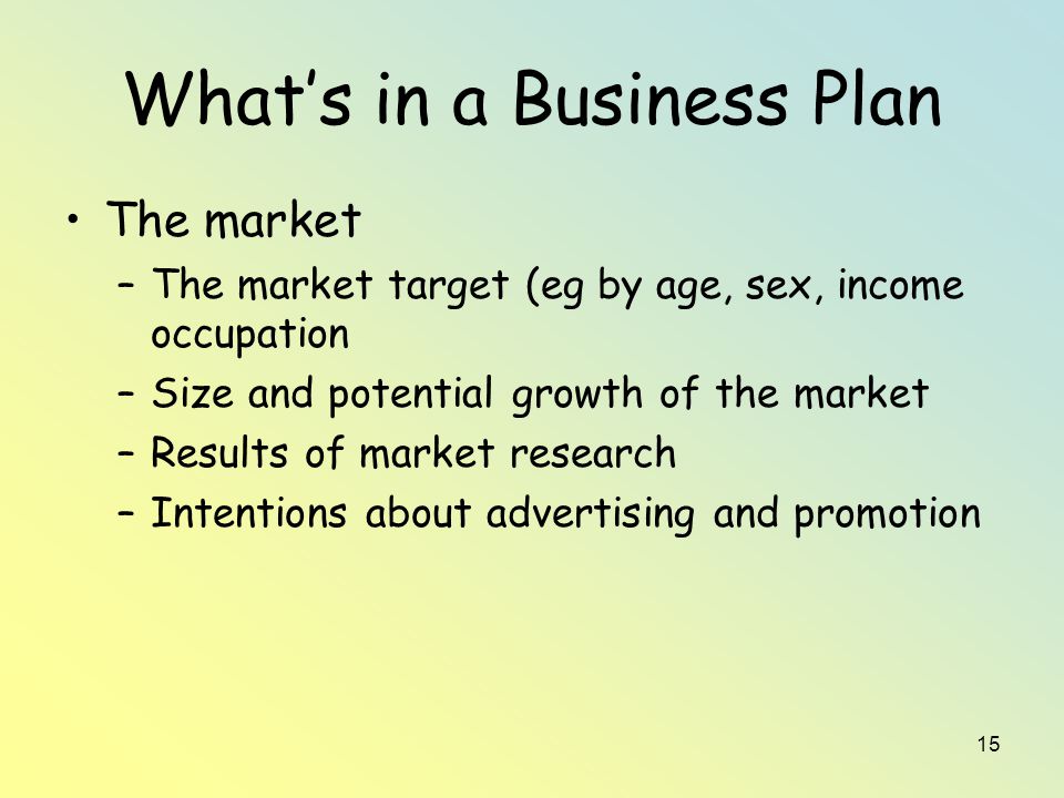 15 What’s in a Business Plan The market –The market target (eg by age, sex, income occupation –Size and potential growth of the market –Results of market research –Intentions about advertising and promotion
