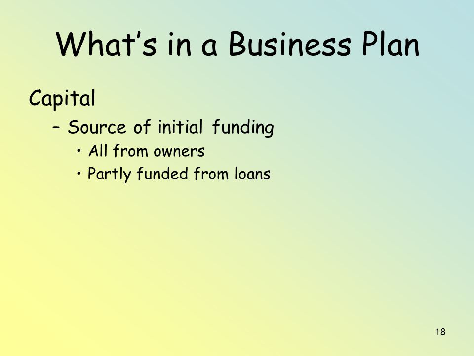 18 What’s in a Business Plan Capital –Source of initial funding All from owners Partly funded from loans