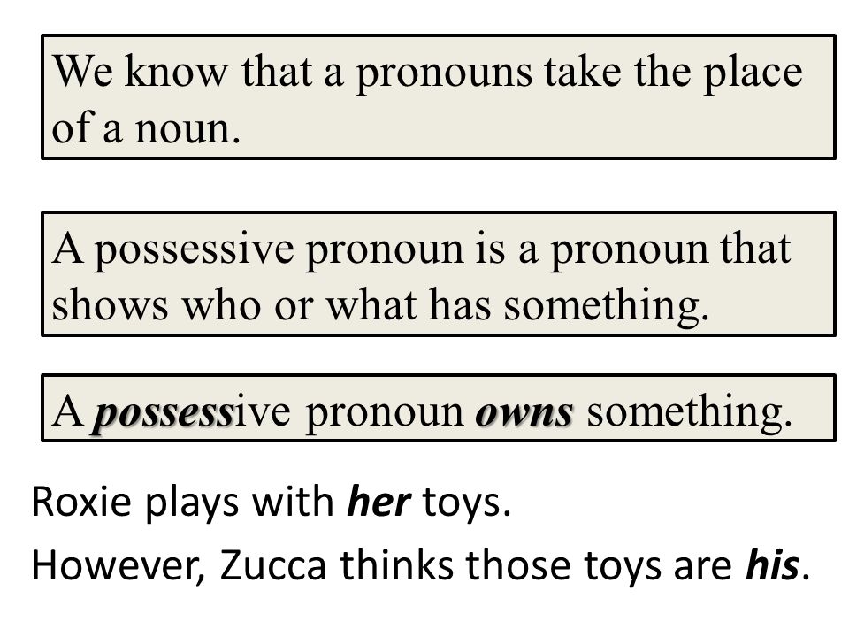 A possessive pronoun is a pronoun that shows who or what has something.