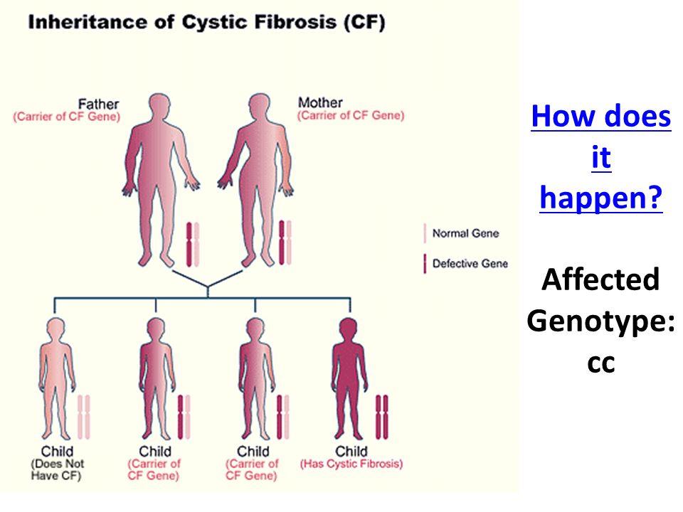 How does it happen How does it happen Affected Genotype: cc