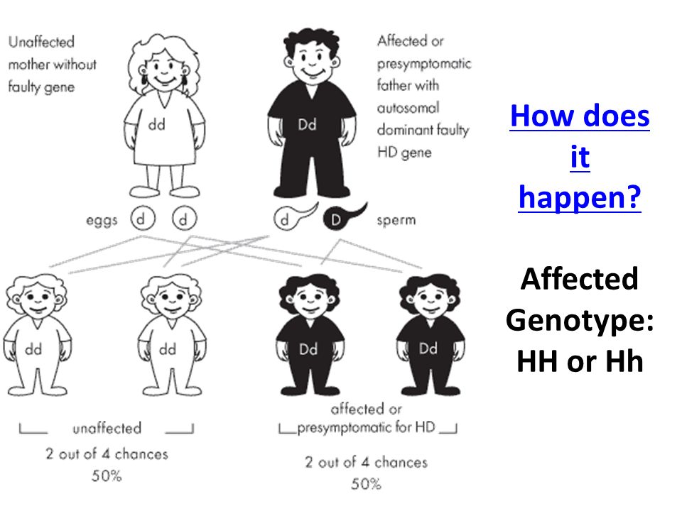 How does it happen How does it happen Affected Genotype: HH or Hh