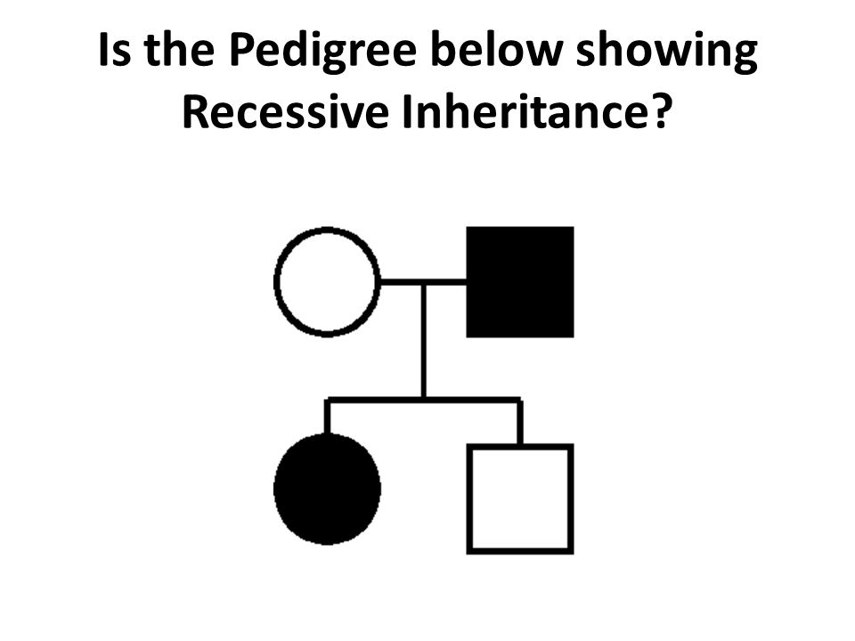 Is the Pedigree below showing Recessive Inheritance