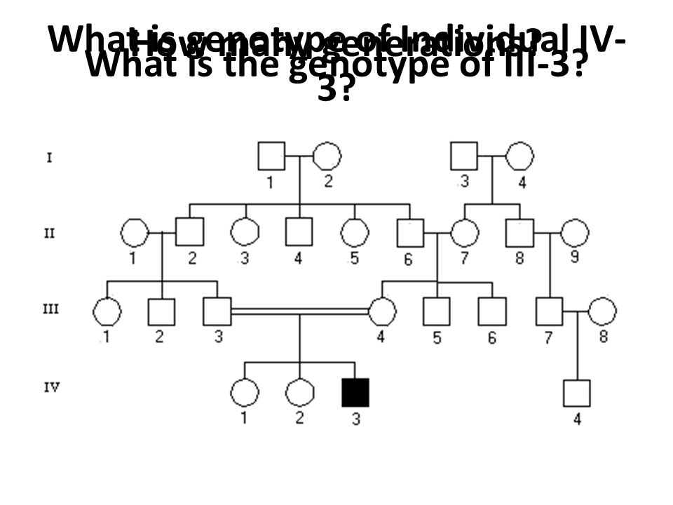 How many generations What is genotype of Individual IV- 3 What is the genotype of III-3