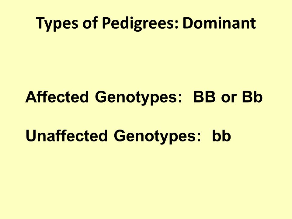 Types of Pedigrees: Dominant Affected Genotypes: BB or Bb Unaffected Genotypes: bb