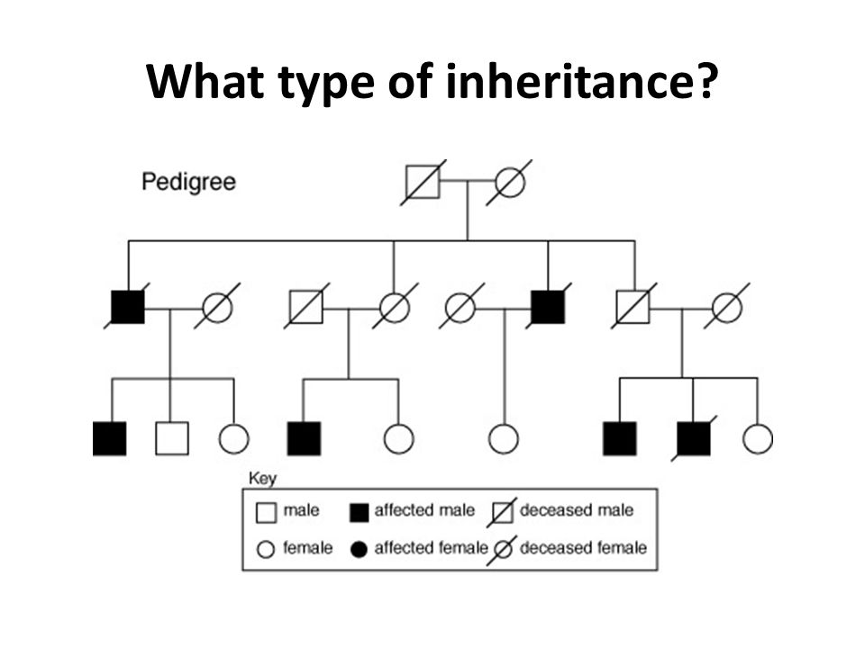What type of inheritance
