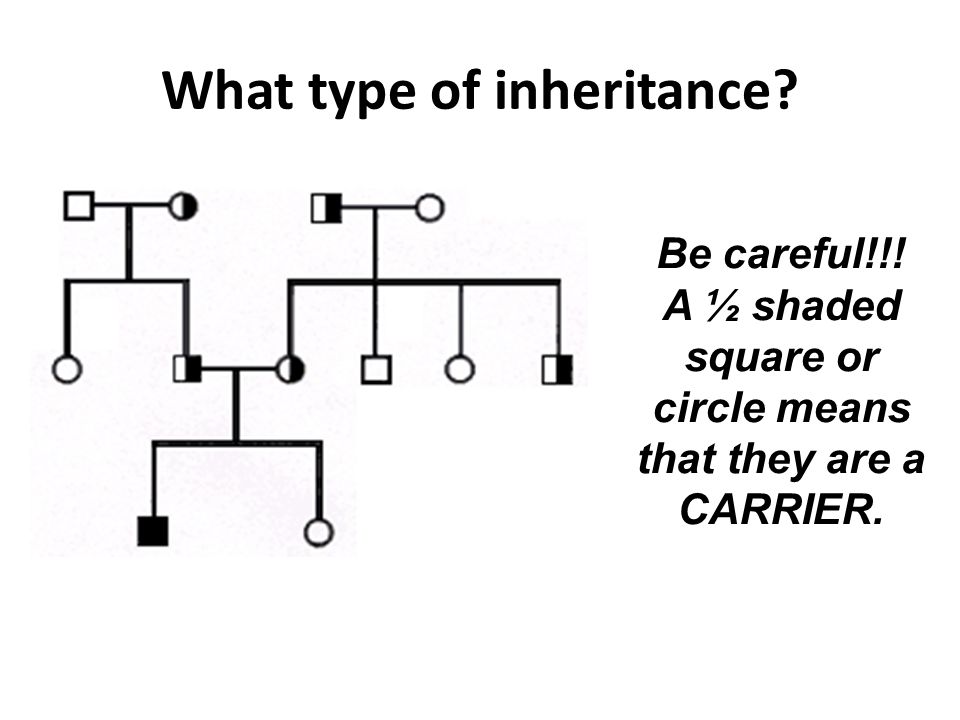 Be careful!!! A ½ shaded square or circle means that they are a CARRIER.
