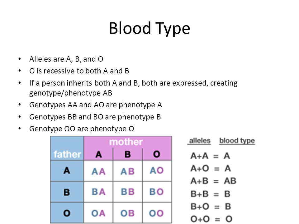 Blood Type Alleles are A, B, and O O is recessive to both A and B If a person inherits both A and B, both are expressed, creating genotype/phenotype AB Genotypes AA and AO are phenotype A Genotypes BB and BO are phenotype B Genotype OO are phenotype O