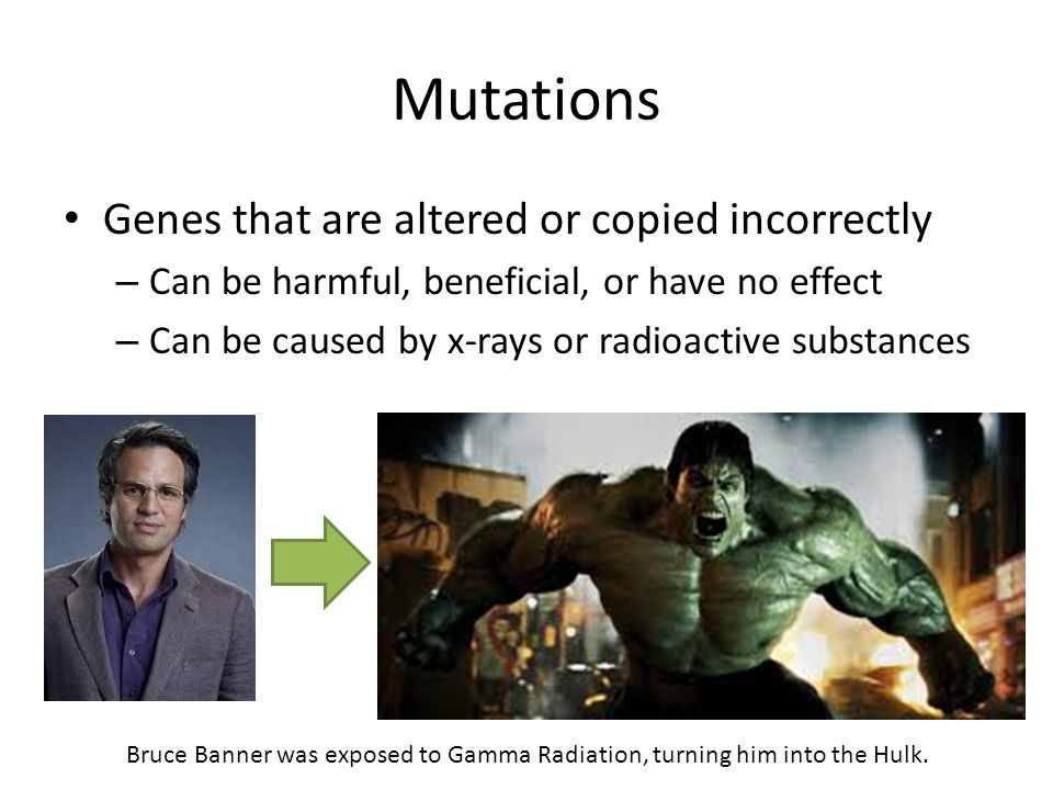 Mutations Genes that are altered or copied incorrectly – Can be harmful, beneficial, or have no effect – Can be caused by x-rays or radioactive substances Bruce Banner was exposed to Gamma Radiation, turning him into the Hulk.