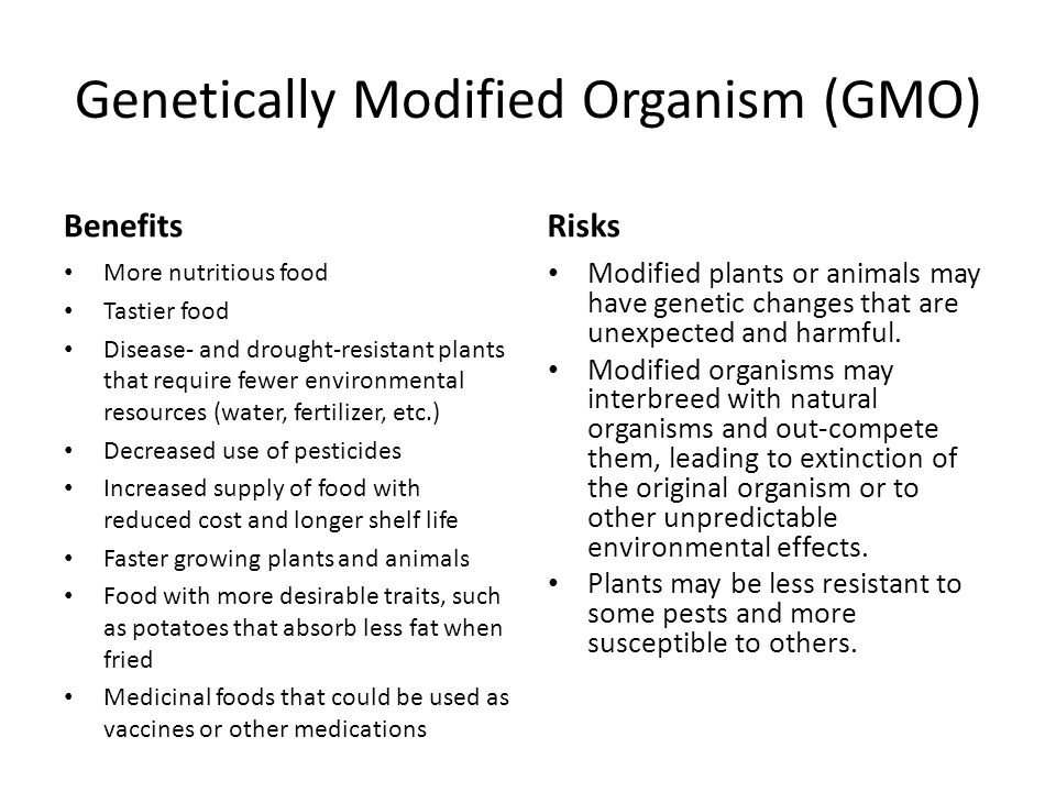 Genetically Modified Organism (GMO) Benefits More nutritious food Tastier food Disease- and drought-resistant plants that require fewer environmental resources (water, fertilizer, etc.) Decreased use of pesticides Increased supply of food with reduced cost and longer shelf life Faster growing plants and animals Food with more desirable traits, such as potatoes that absorb less fat when fried Medicinal foods that could be used as vaccines or other medications Risks Modified plants or animals may have genetic changes that are unexpected and harmful.