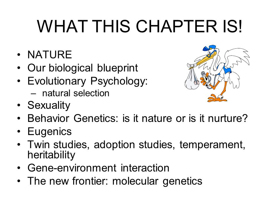 Sample Narrative Essay High School Research Paper Nature Vs Nurture Museum Of Tolerance Essay Holocaust Jokes Health Needs Assessment Essay also Thesis Statement In Essay Museum Of Tolerance Essay Partner Claims Conference Museum Of Health Awareness Essay