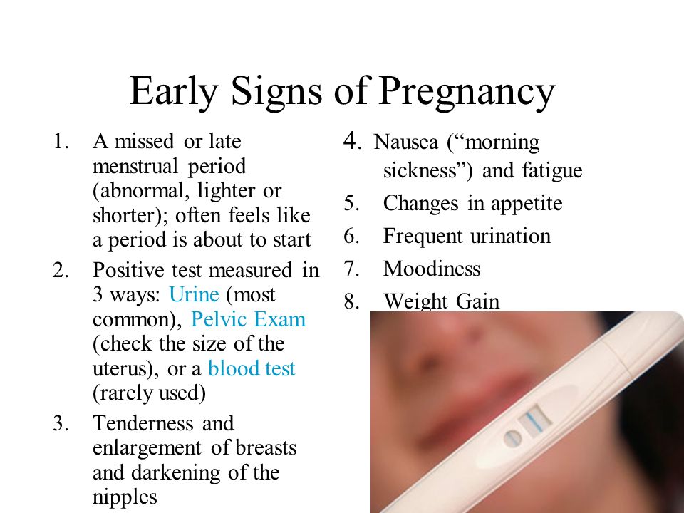 pro contraception essay pro contraception essay