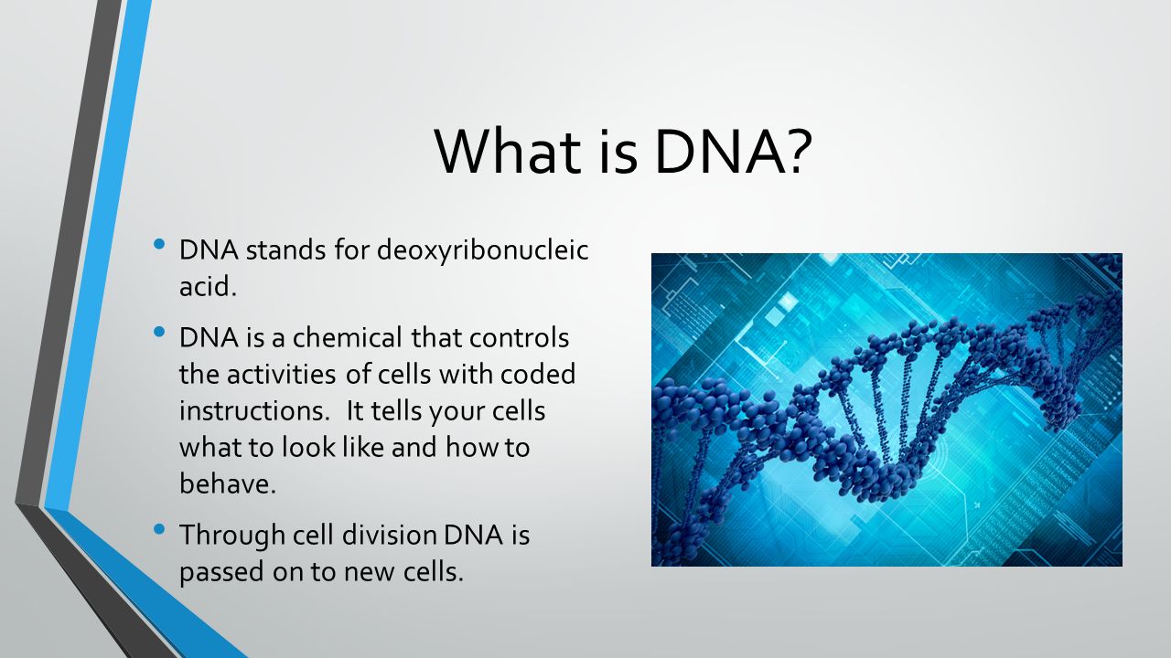 dna dna the money dna dna the money