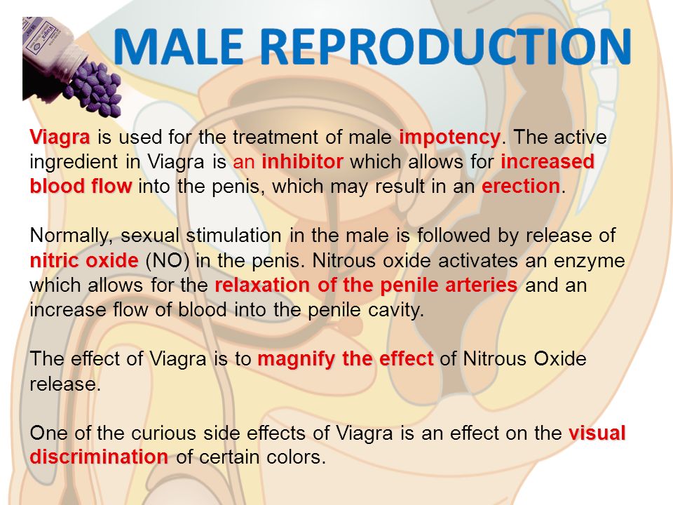 Effects Of Viagra On Fertility
