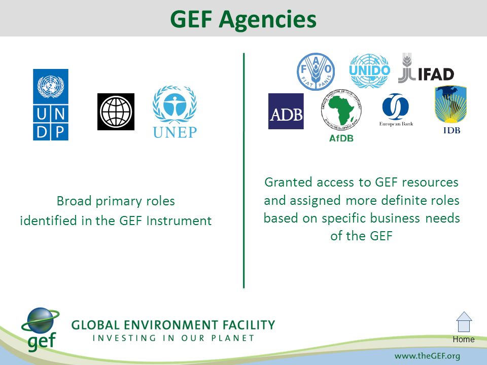 Home Broad primary roles identified in the GEF Instrument GEF Agencies Granted access to GEF resources and assigned more definite roles based on specific business needs of the GEF