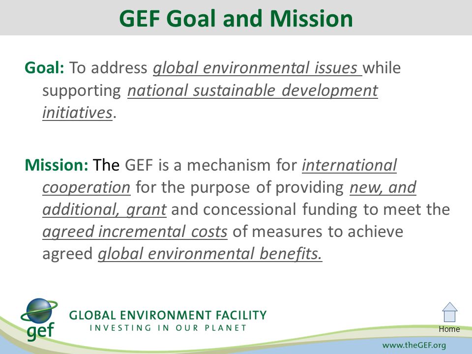 Home Goal: To address global environmental issues while supporting national sustainable development initiatives.