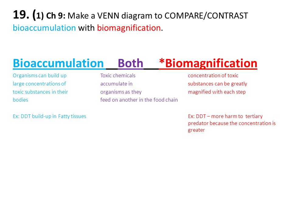 Printables Biological Magnification Worksheet Answers biomagnification worksheet davezan bloggakuten