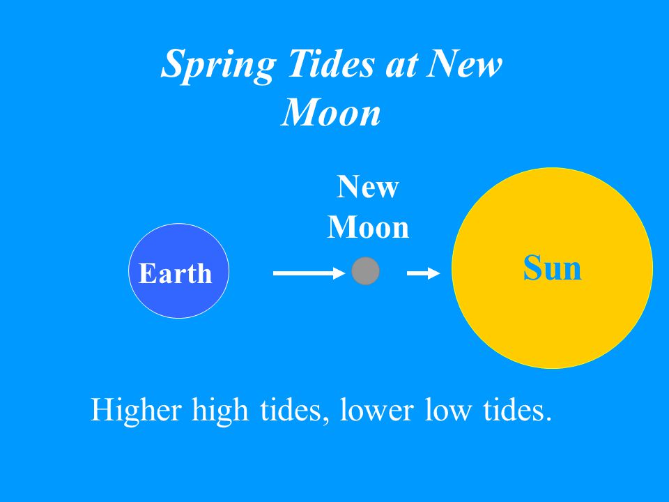 As the moon orbits the Earth it causes the Average tides to change.